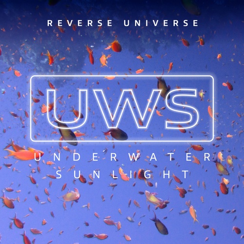 Underwater Sunlight-Reverse Universe