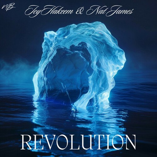 IcyHakeem, Nat James-Revolution