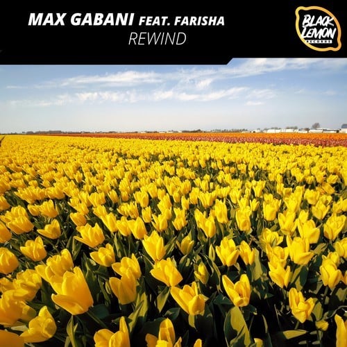 Max Gabani, Farisha-Rewind