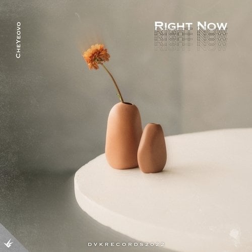Alliance Of Explorers, 澈晔ovo, D.V.K RECORDS-Right Now