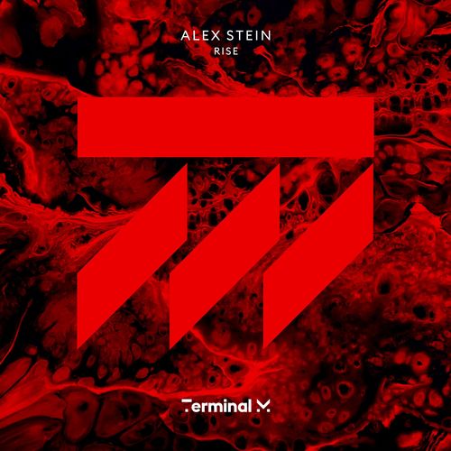 Alex Stein-Rise