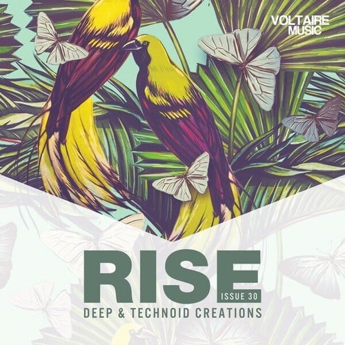 Various Artists-Rise - Deep & Technoid Creations Issue 30