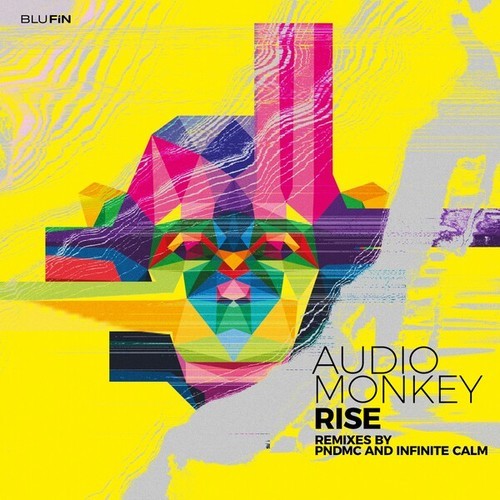 Audio Monkey, PNDMC, Infinite Calm-Rise (The Remixes)