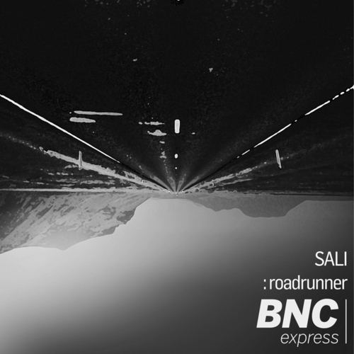 Sali-Roadrunner