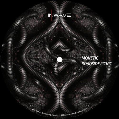 Monetic-Roadside Picnic