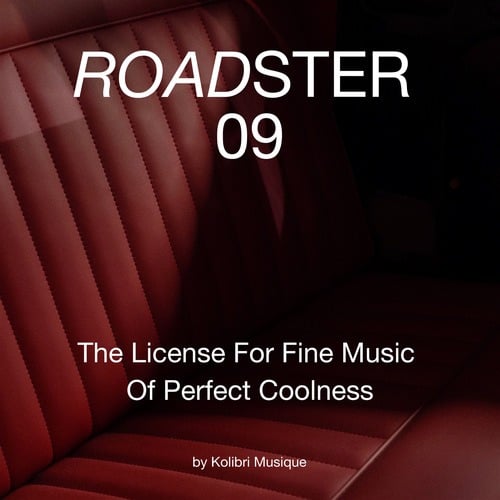 Various Artists-Roadster 09 - The License for Fine Music of Perfect Coolness (Presented by Kolibri Musique)