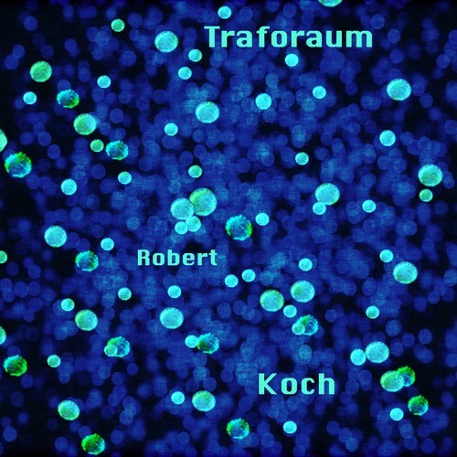Traforaum-Robert Koch