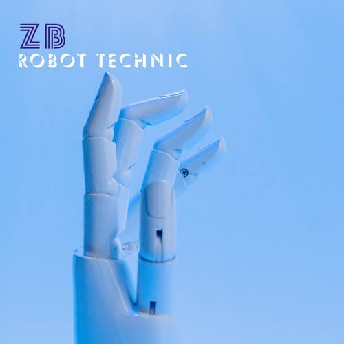 ZB-Robot Technic