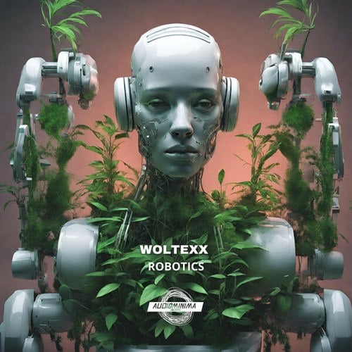 Woltexx-Robotics
