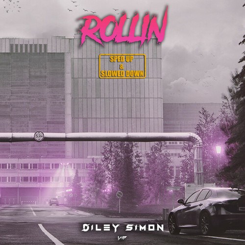 Diley Simon VIP, Diley Simon-Rollin