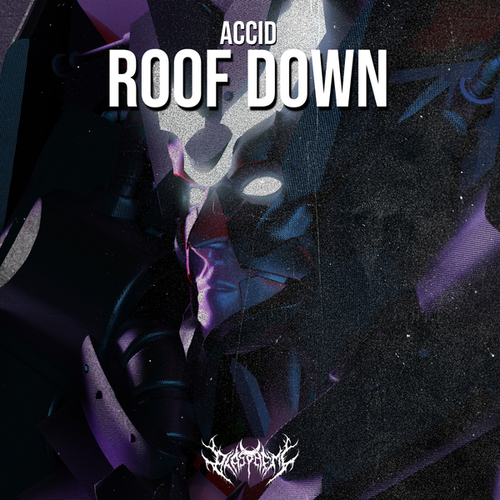 ACCID-Roof Down