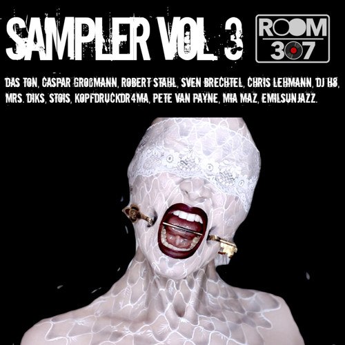 Various Artists-Room 307 Sampler, Vol. 3