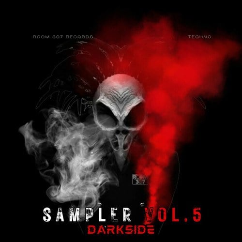 Various Artists-Room 307 Sampler, Vol. 5 (Dark Side)
