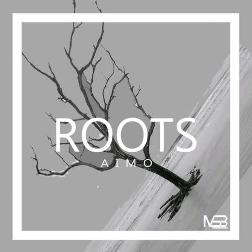 Aimo-Roots