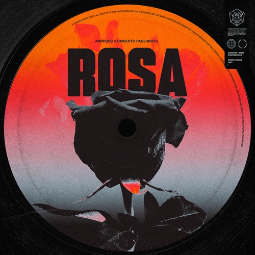 Rosa