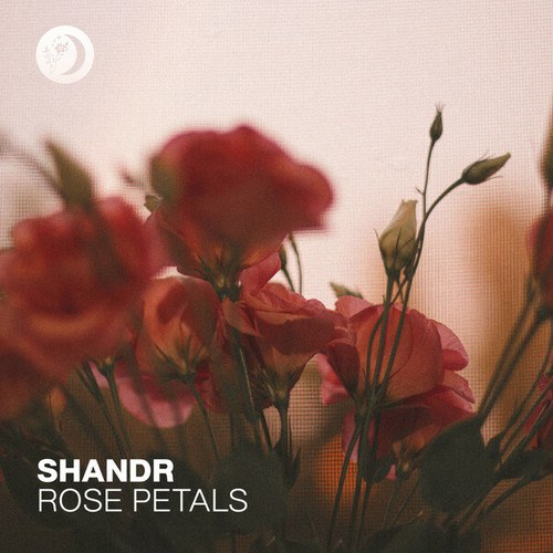 Shandr-Rose Petals