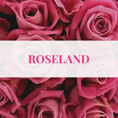 Various Artists-Roseland