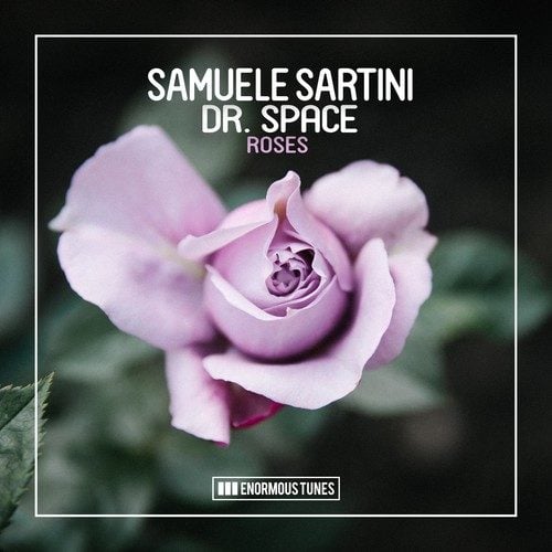 Samuele Sartini, Dr. Space-Roses