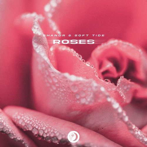 Shandr, Soft Tide-Roses