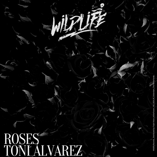 Toni Alvarez-Roses