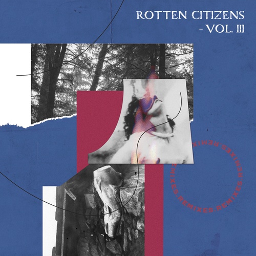 Various Artists-Rotten Citizens Vol.3 Remixes