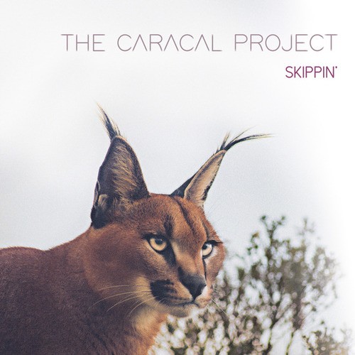 The Caracal Project-Round One