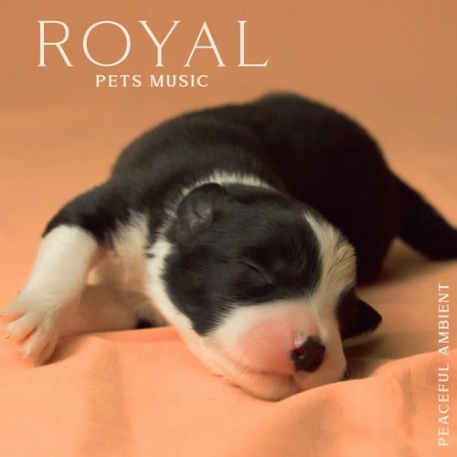 Royal Pets Music - Peaceful Ambient Music for Sleeping, Relaxing Music for Dogs and Cats, Quiet Instrumental Songs for Separation Anxiety and Sleep Problems