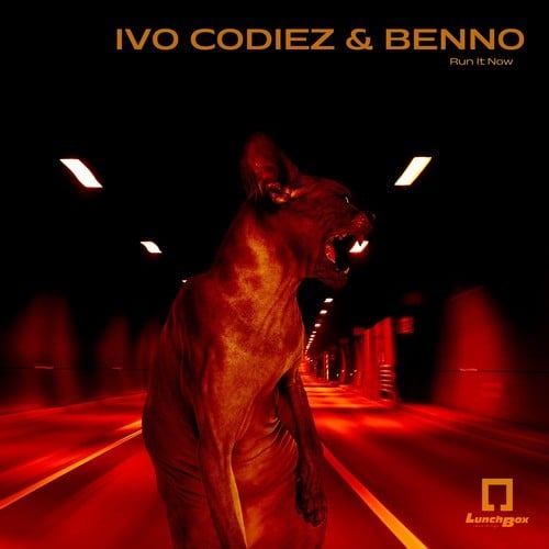 Ivo Codiez & Benno-Run It Now