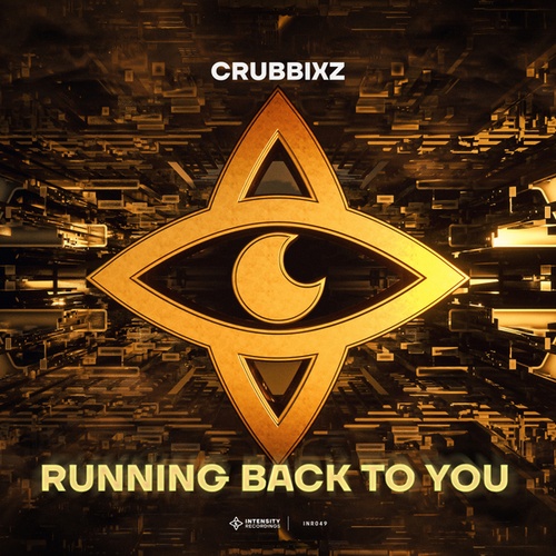 Crubbixz-Running Back To You