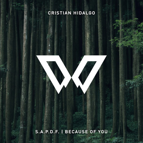 Cristian Hidalgo-S.A.P.D.F. / Because of You