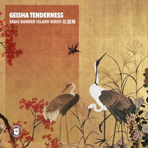 Geisha Tenderness-Sado Banned Island Birds 佐渡島