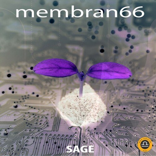 Membran 66-Sage