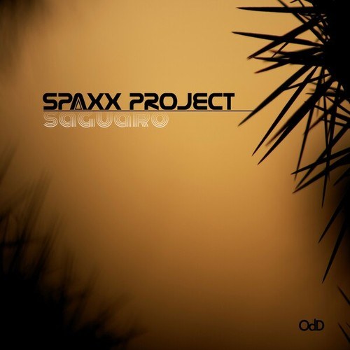 Spaxx Project-Saguaro