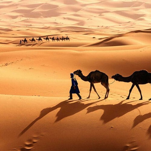 Cemilog-Sahara