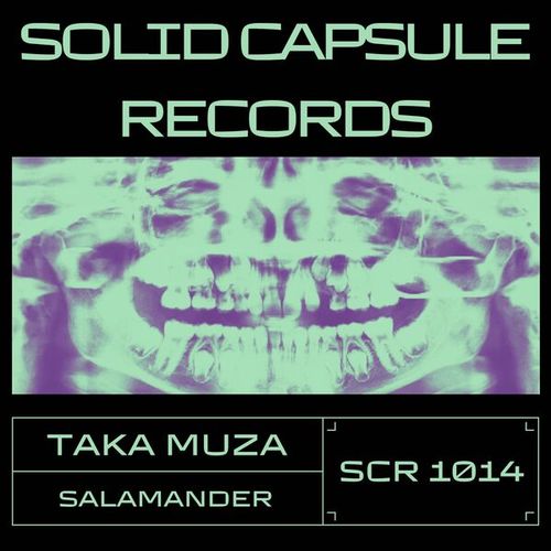 Taka Muza-Salamander