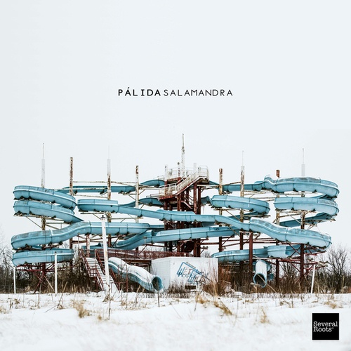 Pálida-Salamandra