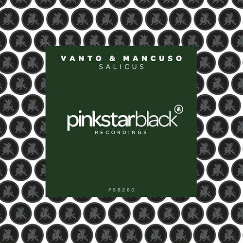 Vanto & Mancuso-Salicus