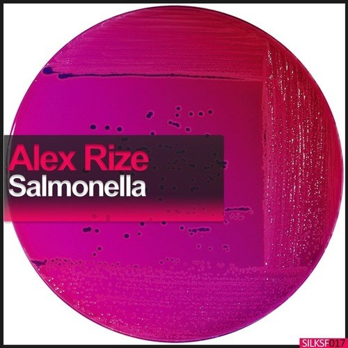 Salmonella