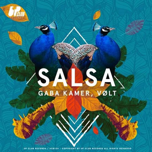 Kamer, VØLT-Salsa