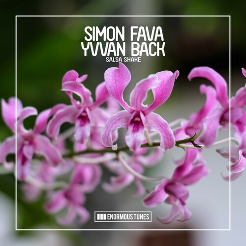Simon Fava, Yvvan Back, Christian Ghinati-Salsa Shake