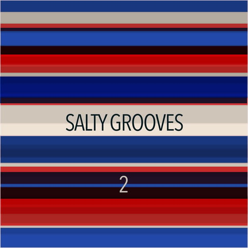 Various Artists-Salty Grooves 2