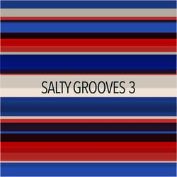 Salty Grooves 3