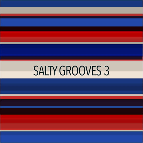 Various Artists-Salty Grooves 3