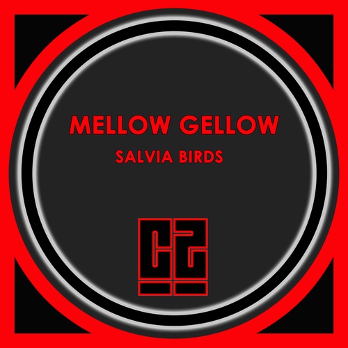 Mellow Gellow-Salvia Birds
