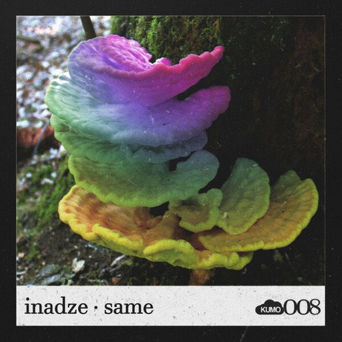 Inadze-Same