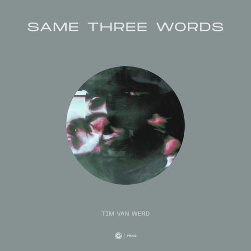 Tim Van Werd-Same Three Words