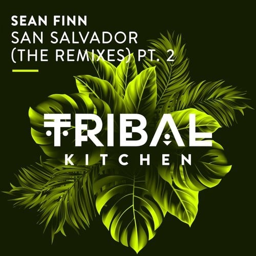 Sean Finn, No Hopes, DJ Kone & Marc Palacios, Yoga, Moqui-San Salvador (The Remixes Pt. 2)
