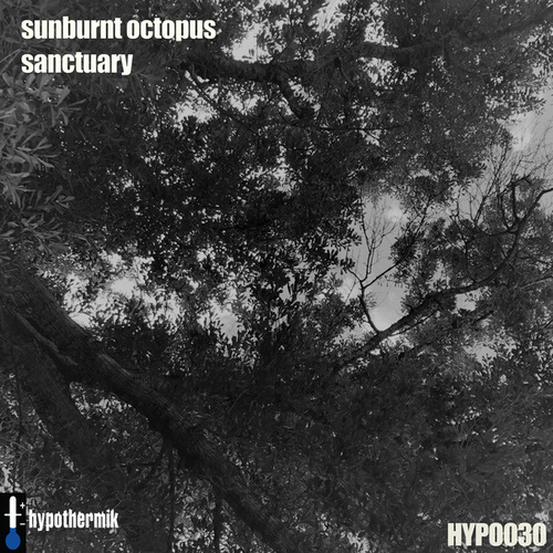 Sunburnt Octopus-Sanctuary