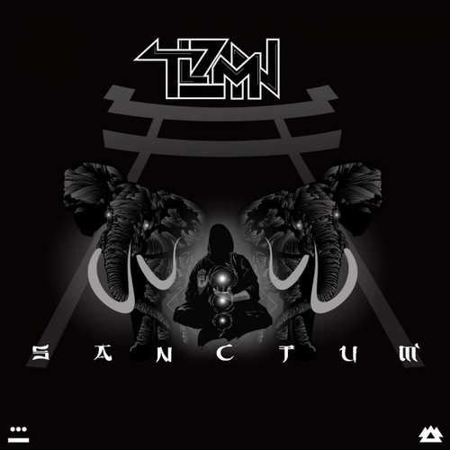 TLZMN-Sanctum