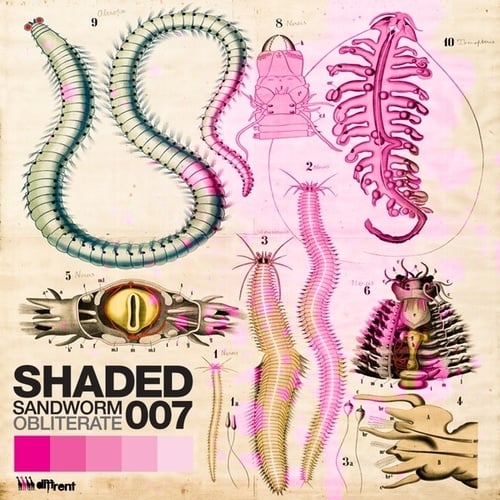 Shaded-Sandworm / Obliterate